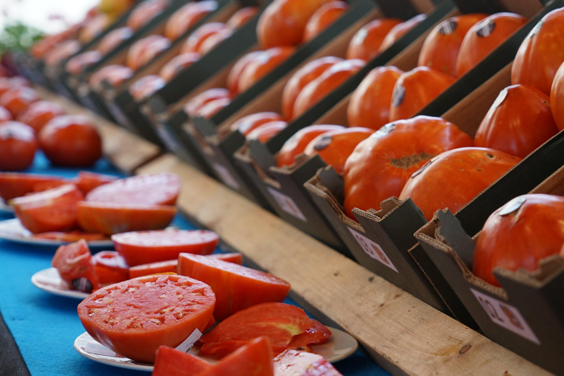 233330460 4163279230426682 5223351403363463092 n (1)