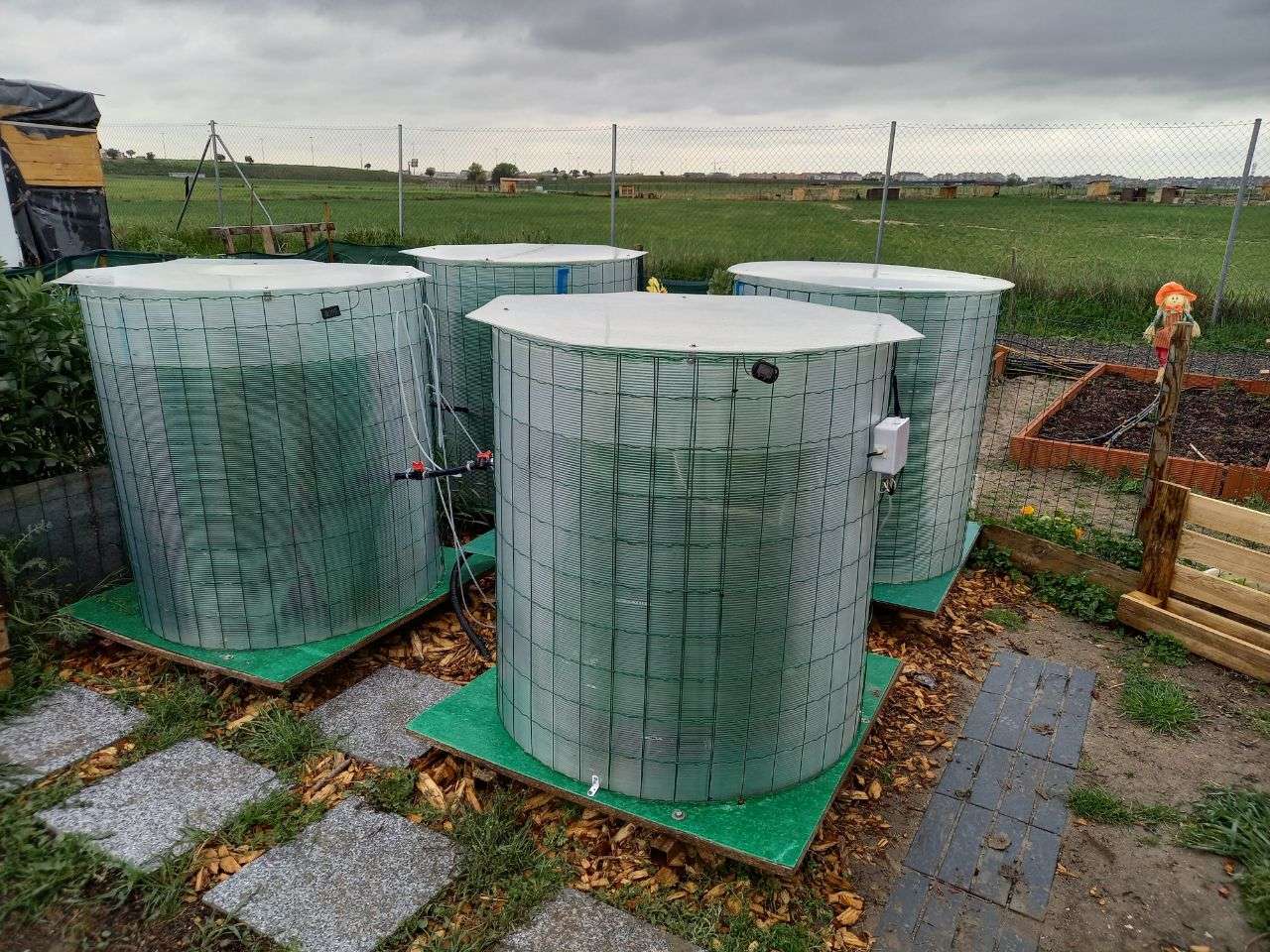 Visita a cultivo de espirulina